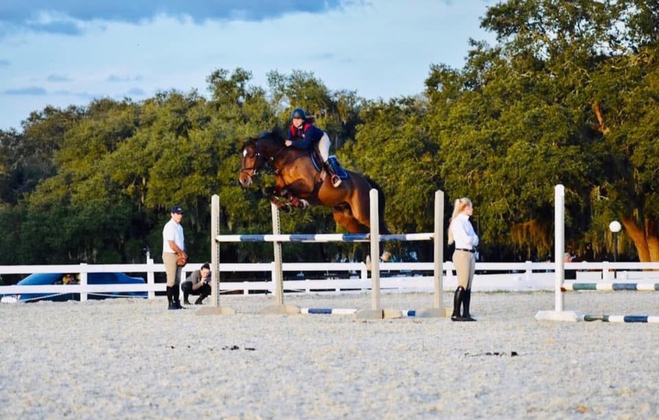 Horse Training